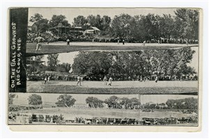 Image description is not available for PHO-264-211